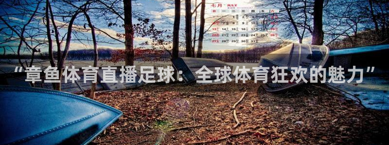 “章鱼体育直播足球：全球体育狂欢的魅力”