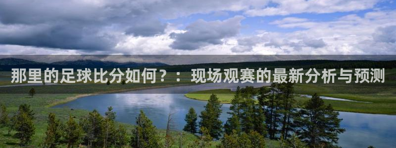 那里的足球比分如何？：现场观赛的最新分析与预测