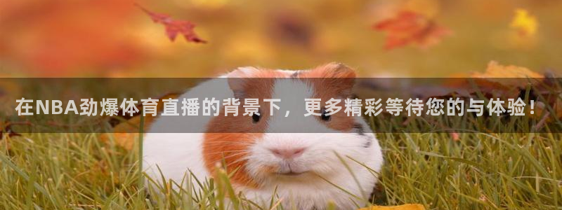在NBA劲爆体育直播的背景下，更多精彩等待您的与体验！