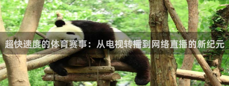 超快速度的体育赛事：从电视转播到网络直播的新纪元