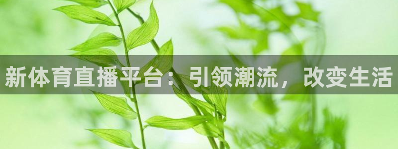 新体育直播平台：引领潮流，改变生活