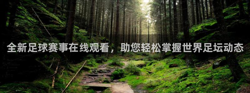 全新足球赛事在线观看，助您轻松掌握世界足坛动态