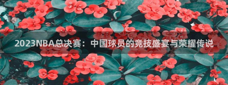 2015年足球世界杯决赛