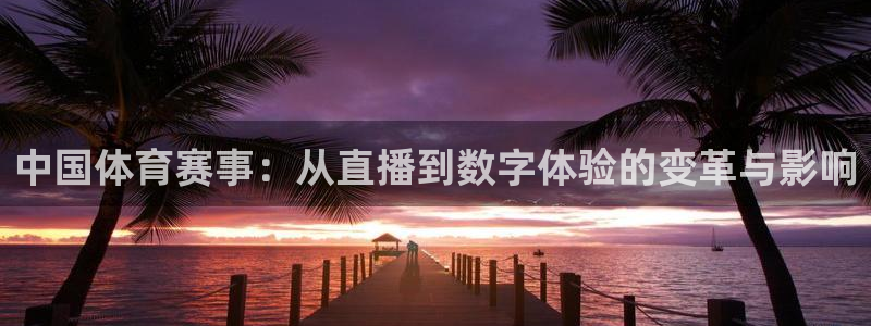 2024年乒乓球混团世界杯：中国体育赛事：从直播到数字体验的变革与影响