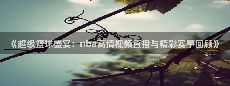 世界杯预选赛阿根廷队：《超级篮球盛宴：nba高清视频直播与精彩赛事回顾》