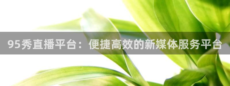 世界杯欧洲赛程：95秀直播平台：便捷高效的新媒体服务平台