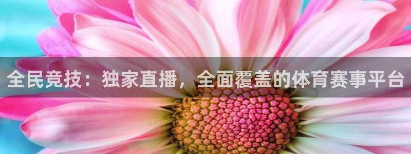 世界杯预选赛阿联酋：全民竞技：独家直播，全面覆盖的体育赛事平台