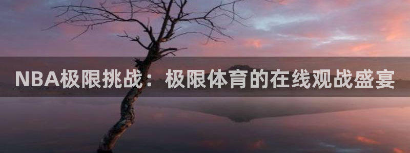 乒乓球世界杯游戏：NBA极限挑战：极限体育的在线观战盛宴