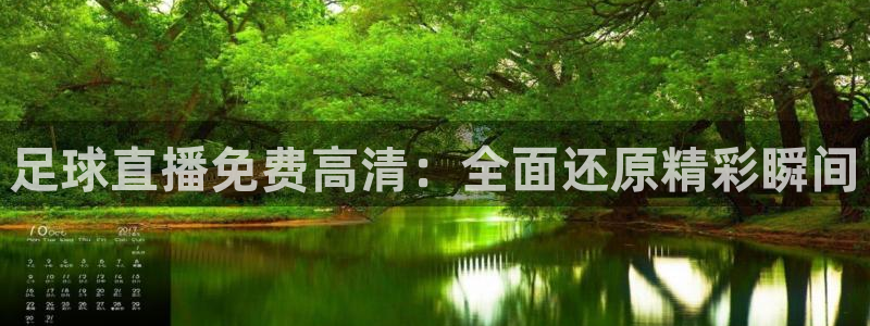 2006世界杯32强足球彩绘日本：足球直播免费高清：全面还原精彩瞬间