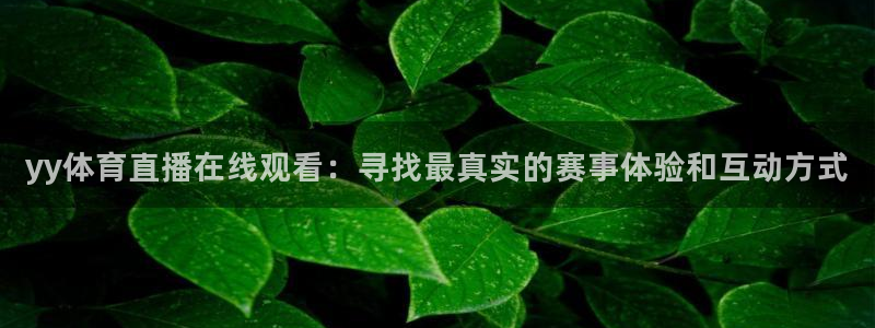 玩球直播的套路：yy体育直播在线观看：寻找最真实的赛事体验和互动方式