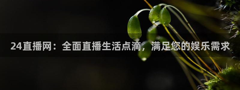 美国队世界杯赛程：24直播网：全面直播生活点滴，满足您的娱乐需求