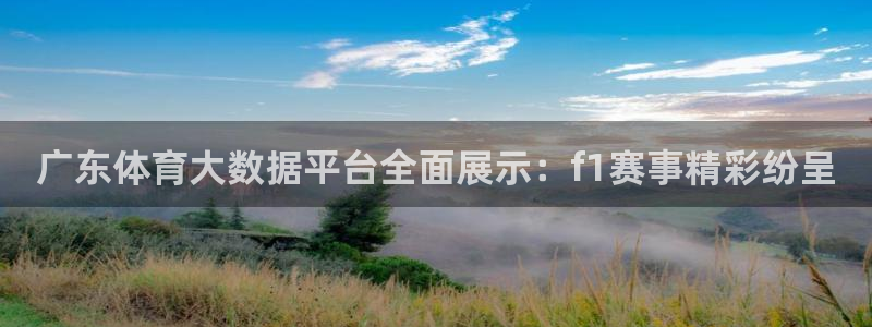 2022年世界杯决赛回放完整版：广东体育大数据平台全面展示：f1赛事精彩纷呈